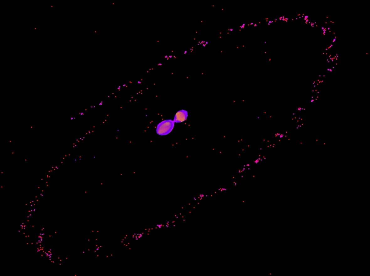 Two pinkish-magenta spheres appear tenuously attached, giving them an snowman-like apperance, circled by other similarly-coloured dots in orbit around it. 