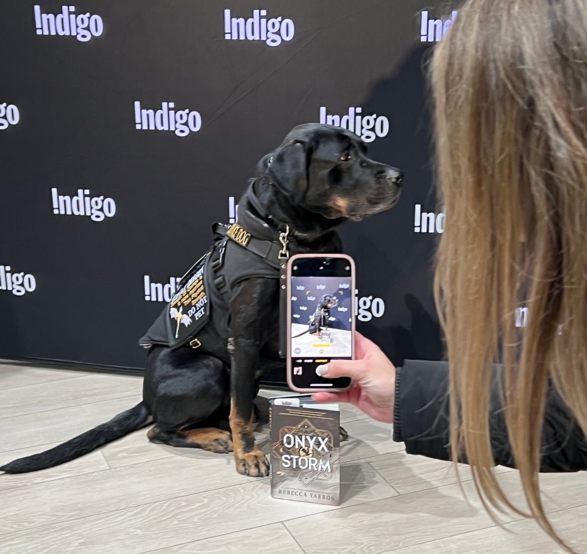 A dog sits behind a book that reads 'Onyx Storm' in front of a backdrop that says 'Indigo' as a person takes a photo.